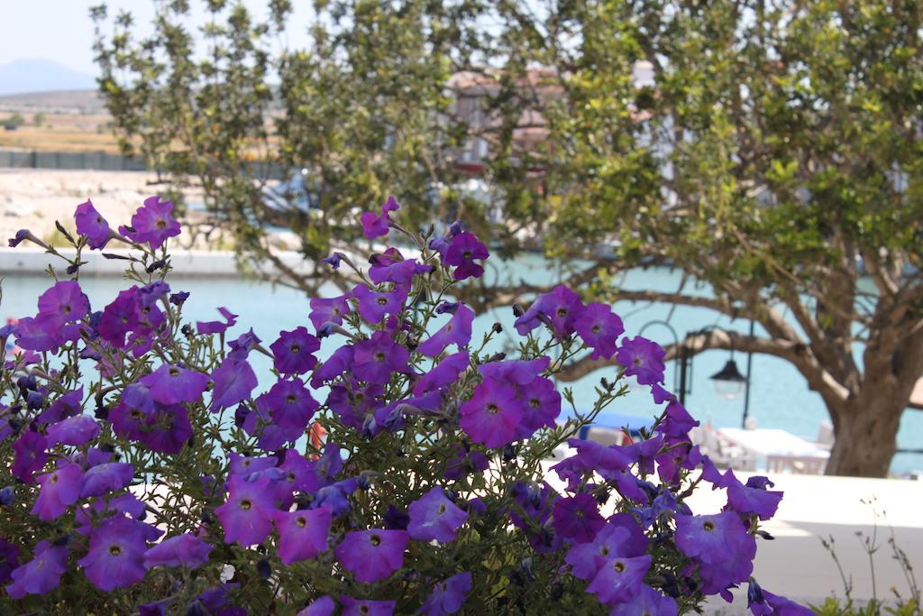 Port Villa Deniz 阿拉恰特 外观 照片