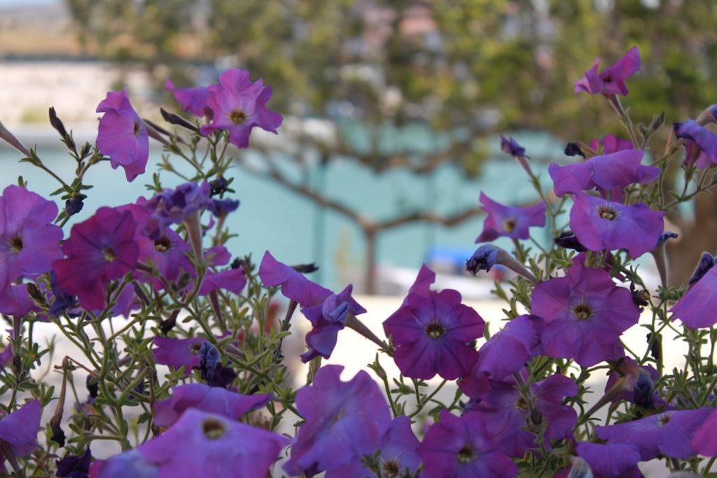 Port Villa Deniz 阿拉恰特 外观 照片